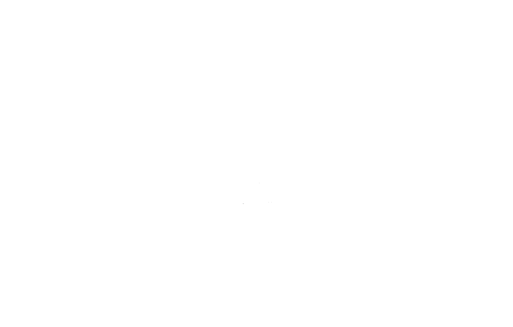 Aeromodelling Club Logo